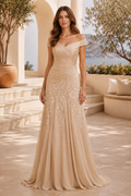 Off-the-Shoulder Lace Applique Pleated Gown
